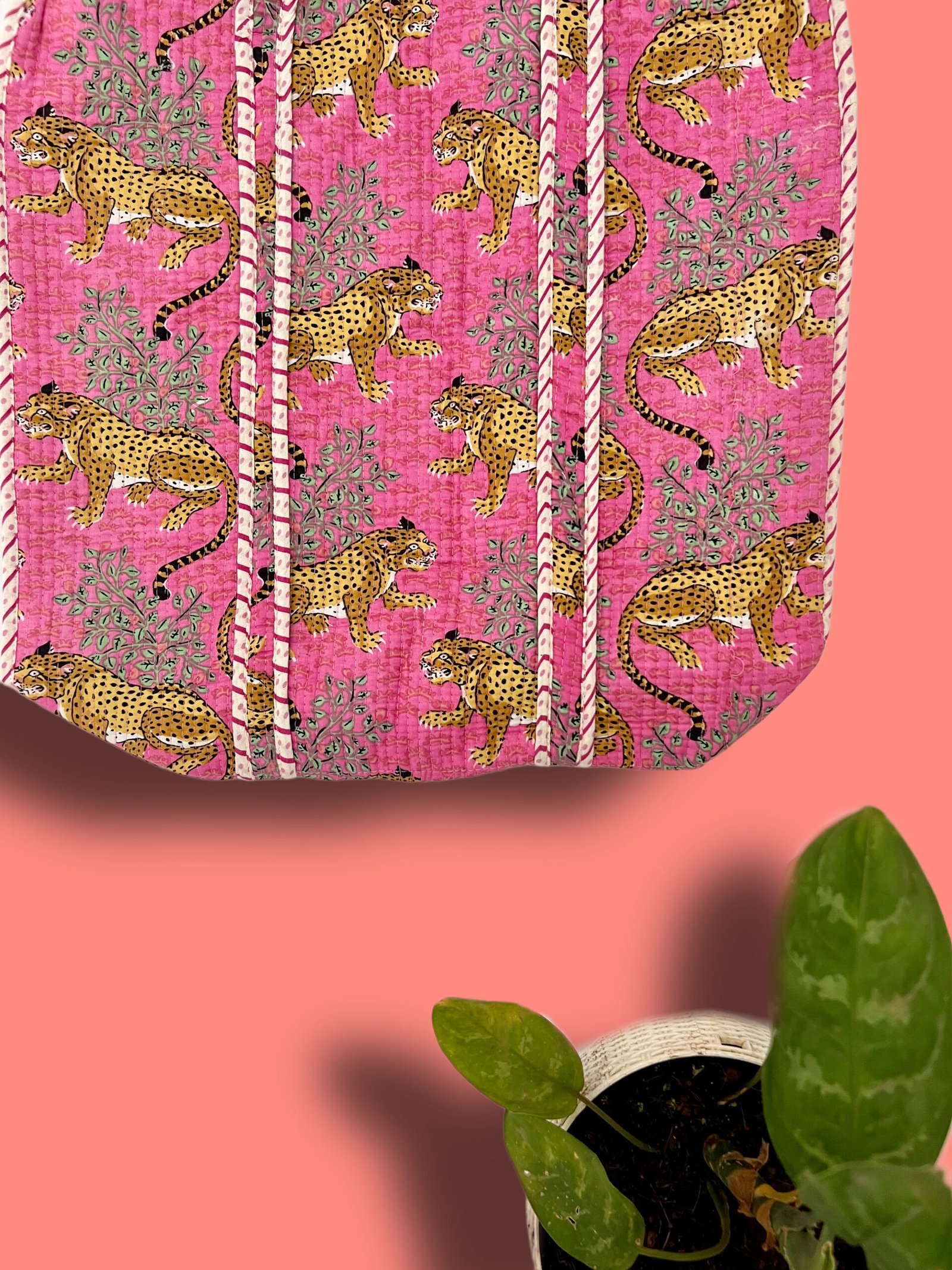 66DA52A1-2314-4C09-B4AB-BD72FB33EBC3