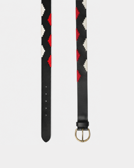 Aegis Belt